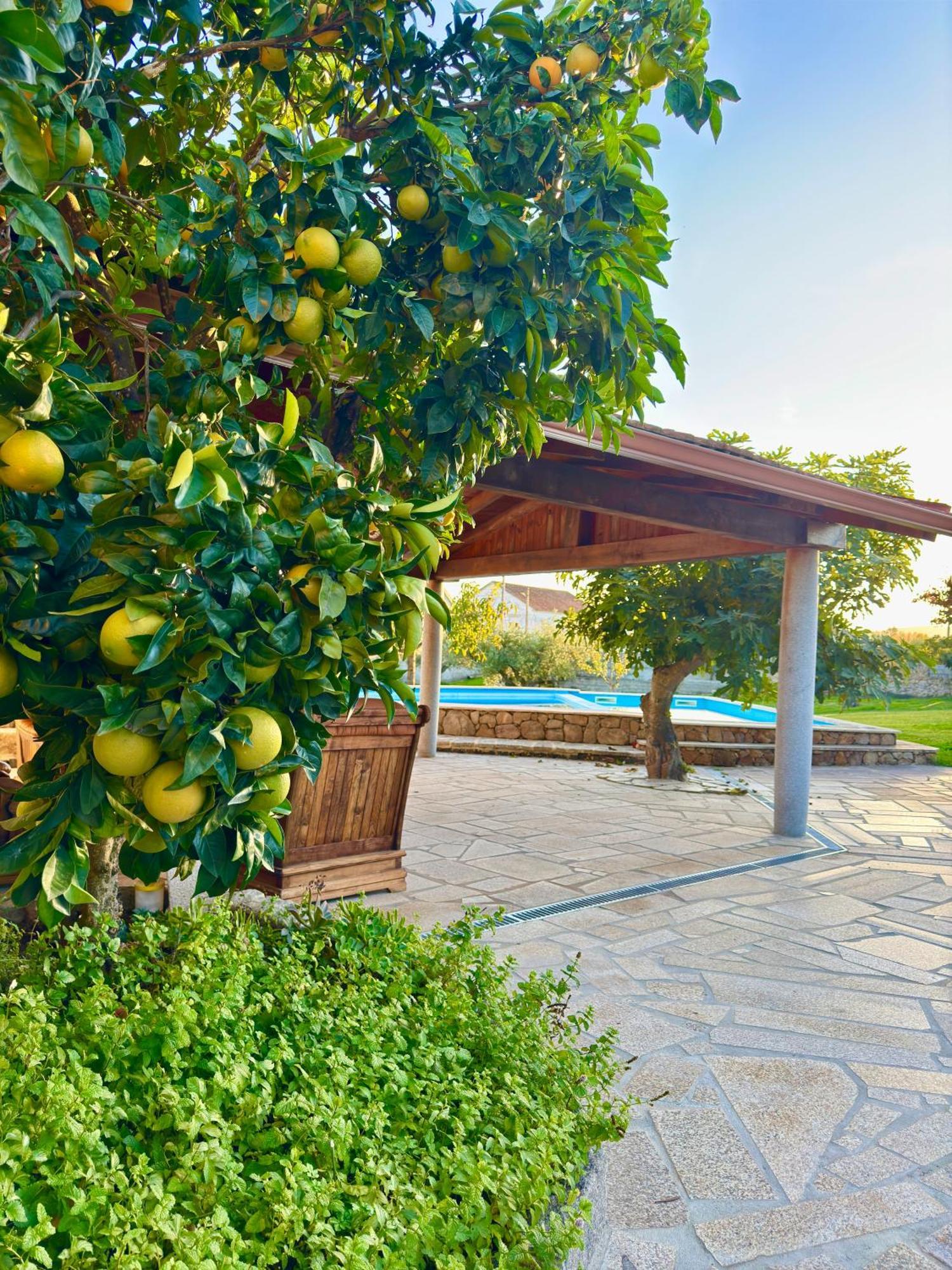 Vila Quinta Do Nobre Marialva Exteriér fotografie